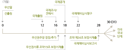 PCT국제출원